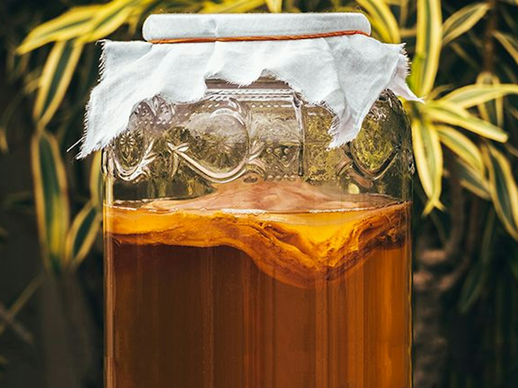 Kombucha - selbst gemacht auf einem undatierten Symbolfoto.