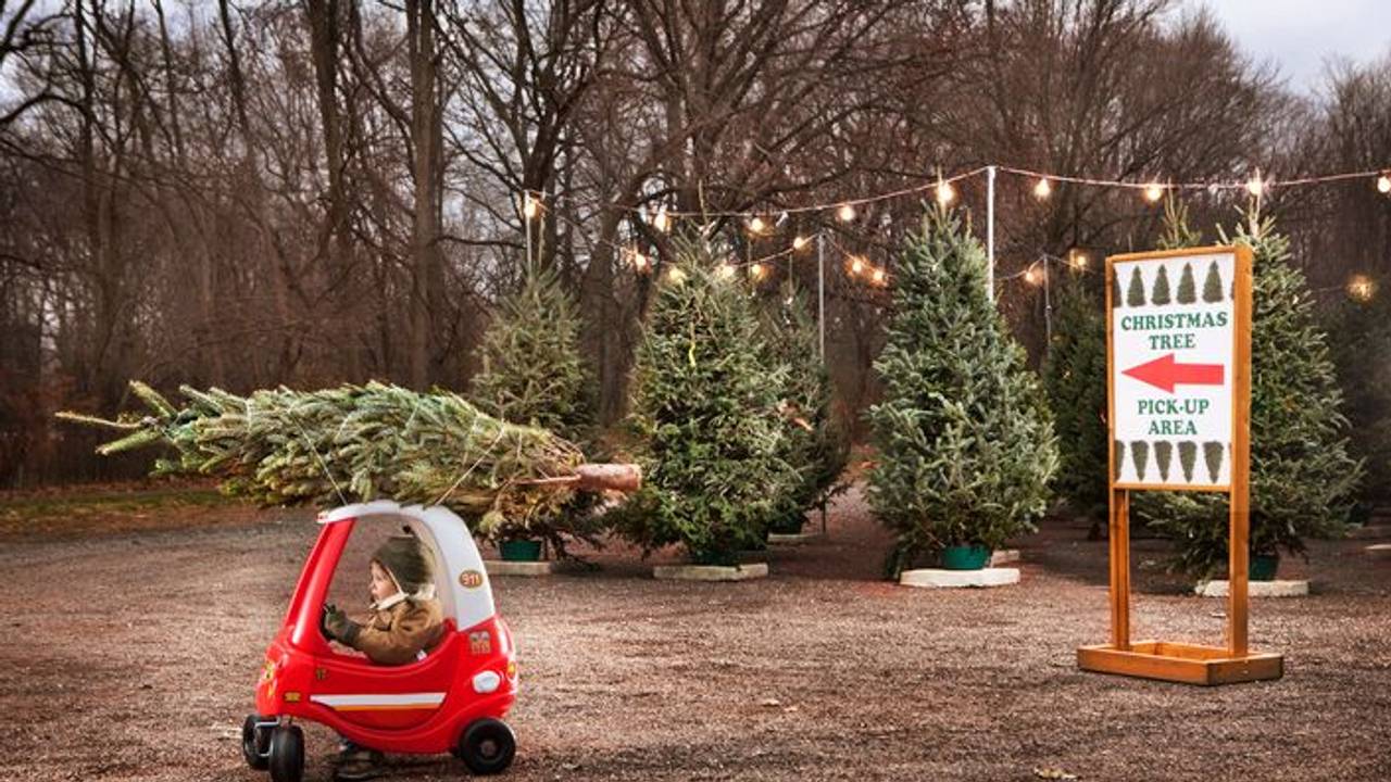 Auf dem Bild ist ein Junge in seinem kleinen Spielzeugflitzer zu sehen, der einen Weihnachtsbaum auf seinem Gefährt trägt.