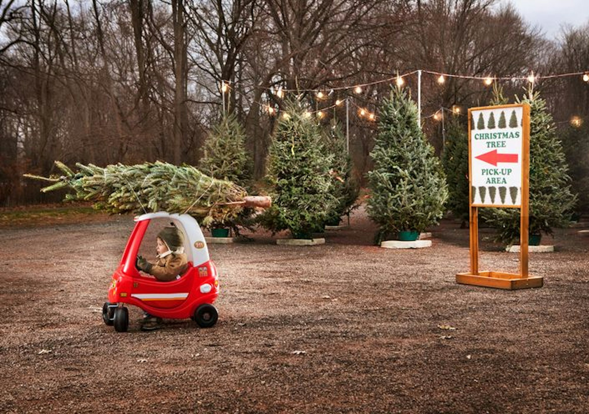 Auf dem Bild ist ein Junge in seinem kleinen Spielzeugflitzer zu sehen, der einen Weihnachtsbaum auf seinem Gefährt trägt.