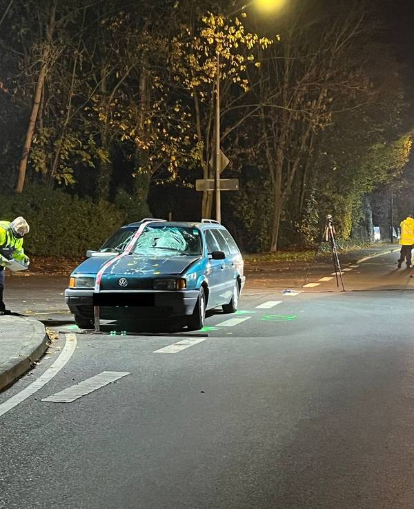 Beschädigtes Auto steht an einer Unfallstelle, daneben Autos der Feuerwehr. Eine Frau und ein Hund sind gestorben.
