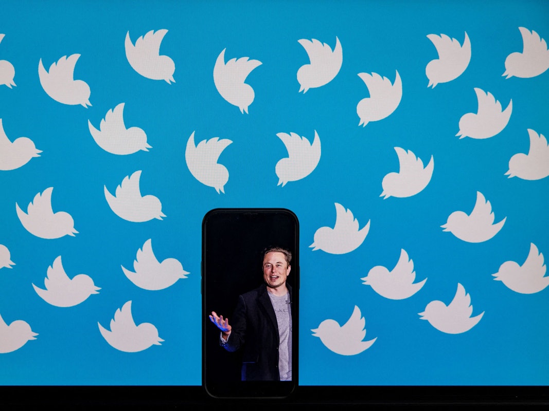 Elon Musk ist auf einer Fotomontage umgeben vom Twitter-Logo.