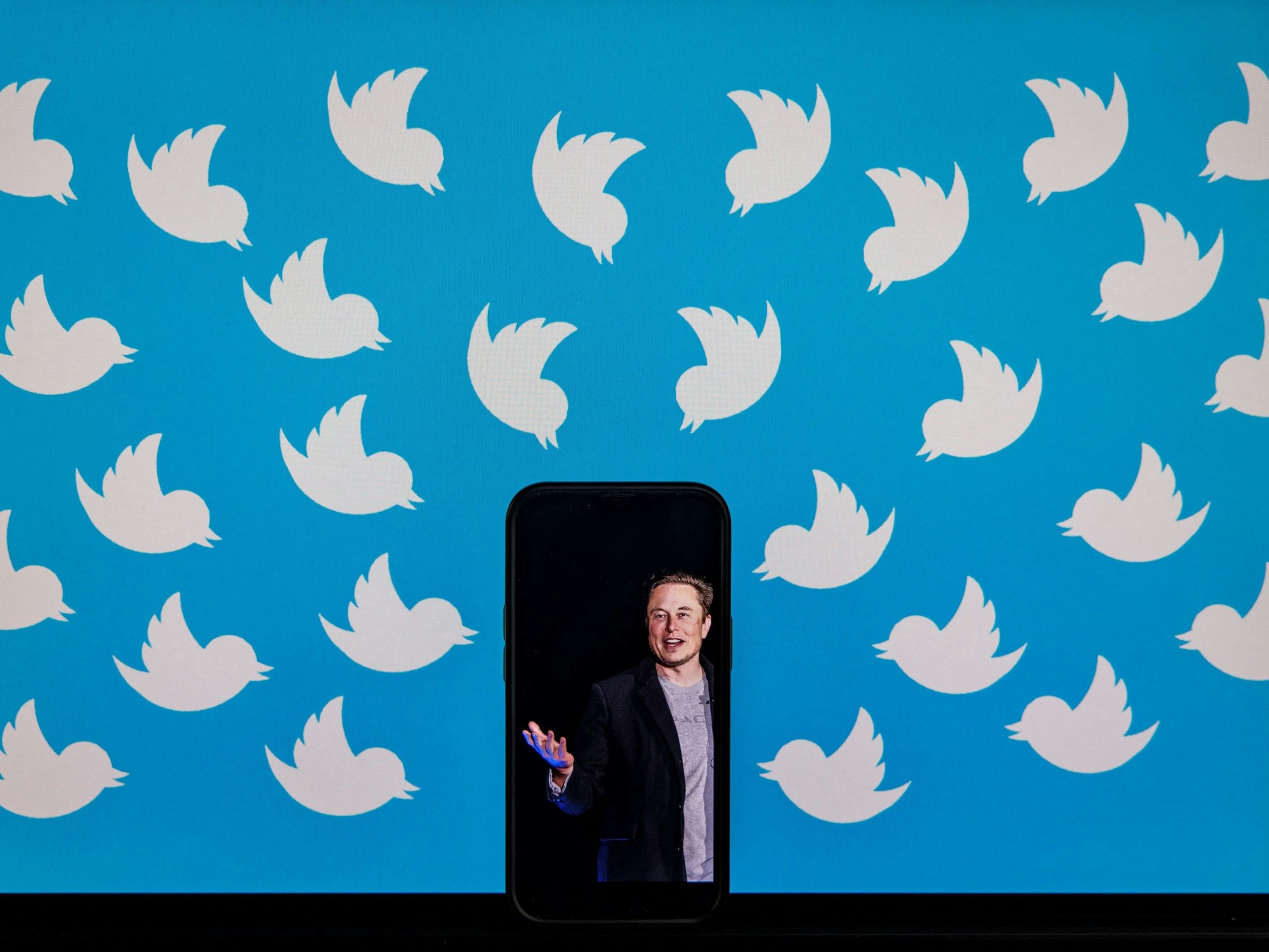 Elon Musk ist auf einer Fotomontage umgeben vom Twitter-Logo.
