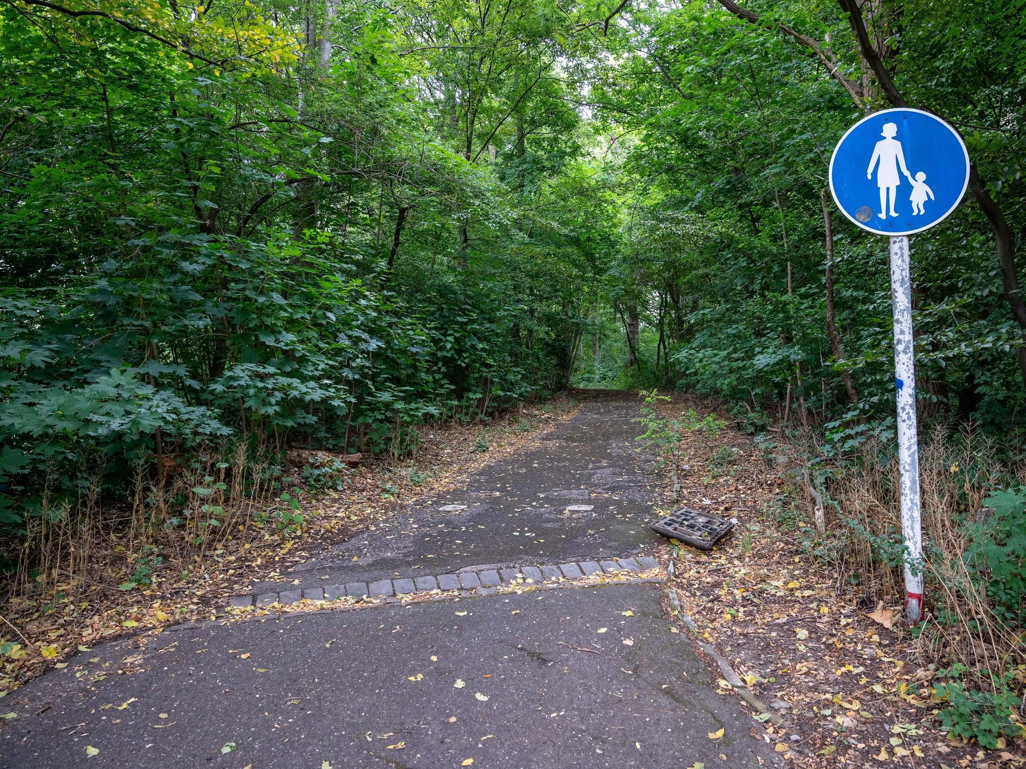Ein von Bäumen umringter Fußweg an der Ecke zum Vingster Ring ist zu sehen.