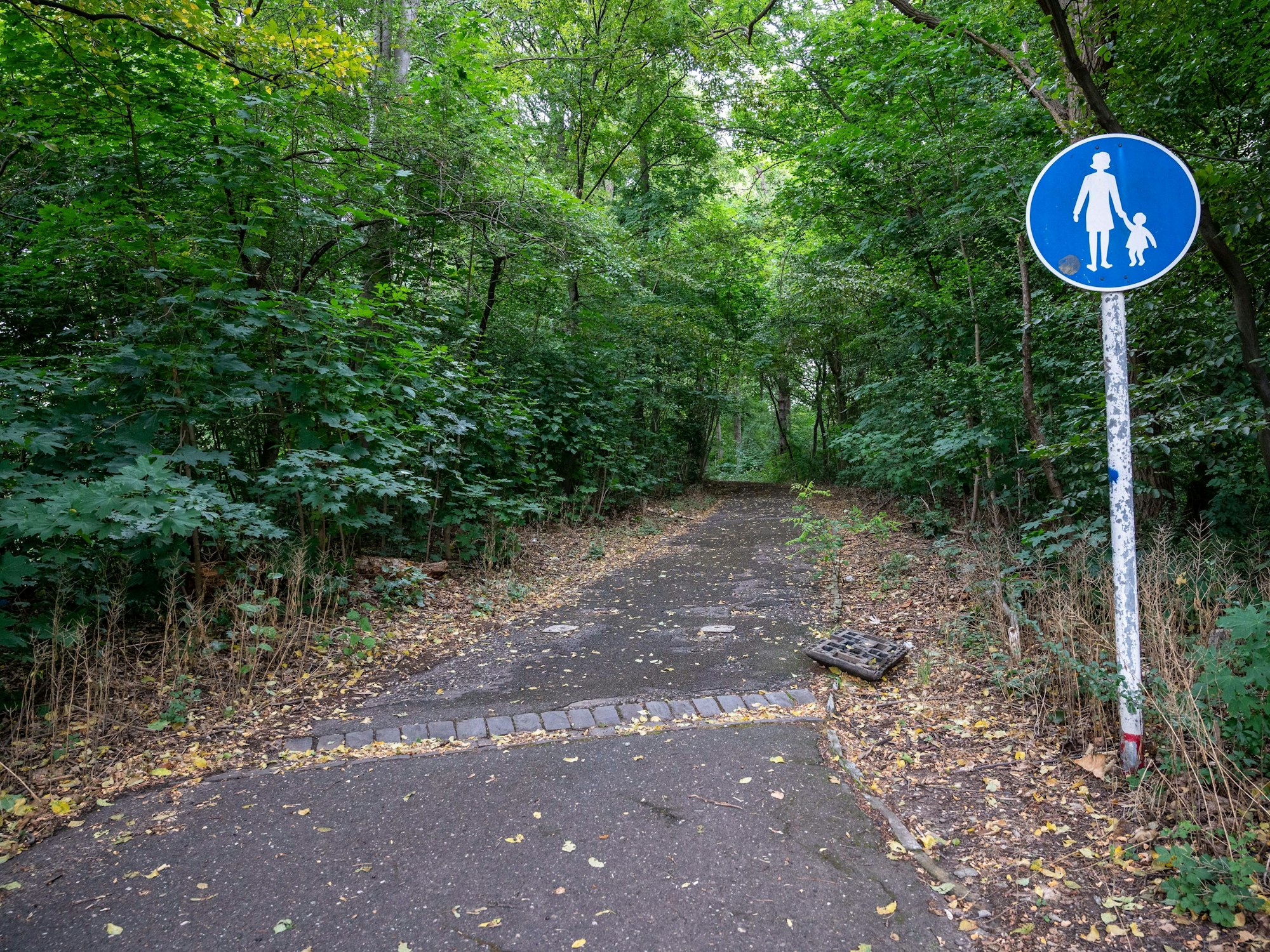 Ein von Bäumen umringter Fußweg an der Ecke zum Vingster Ring ist zu sehen.