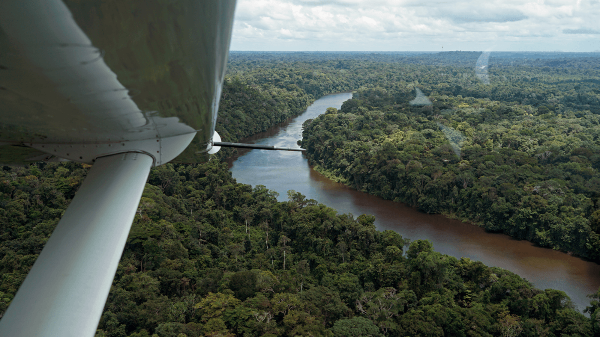 Von einem Flugzeug aus schaut man hinunter auf den Regenwald von Suriname.