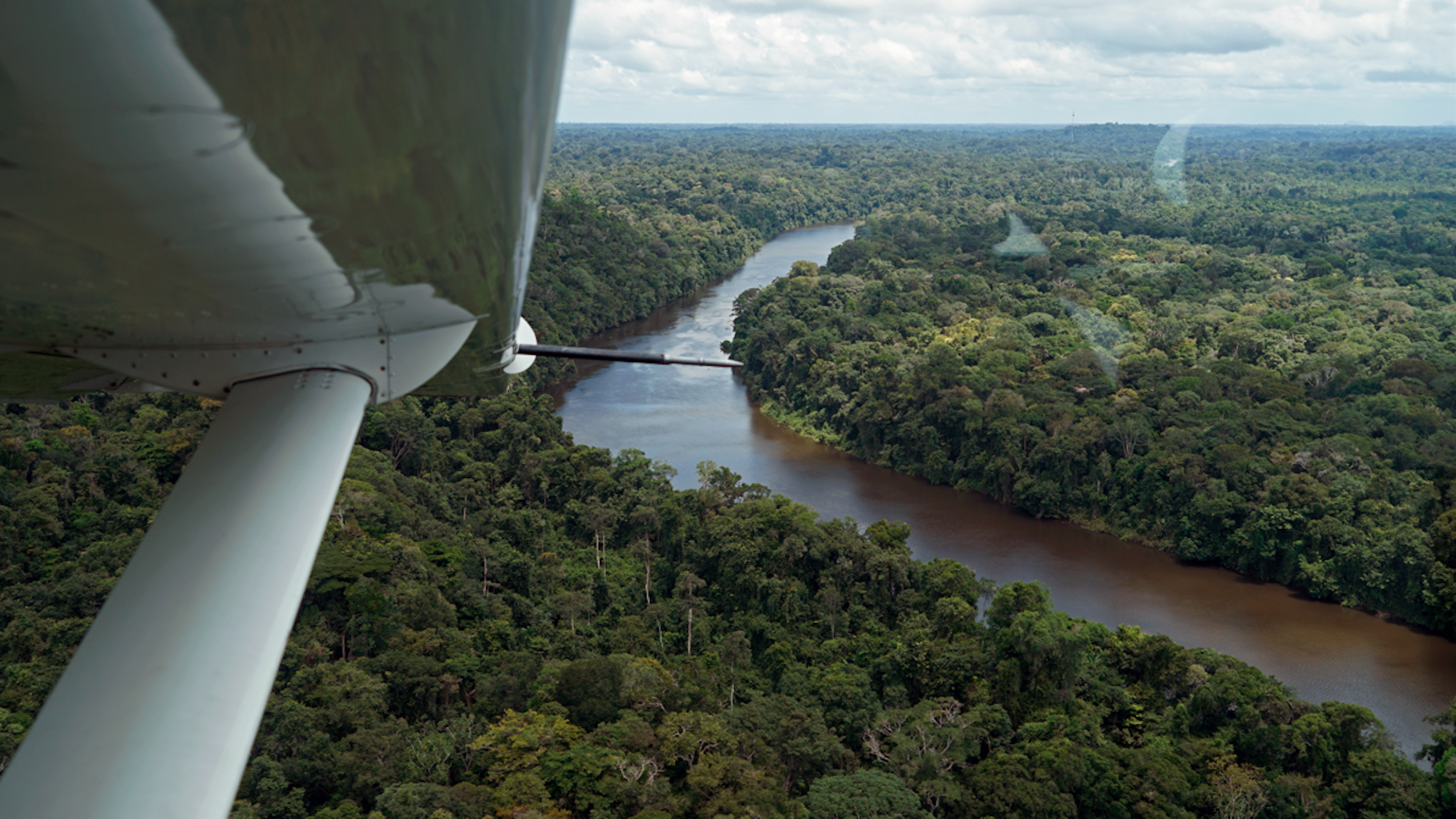 Von einem Flugzeug aus schaut man hinunter auf den Regenwald von Suriname.