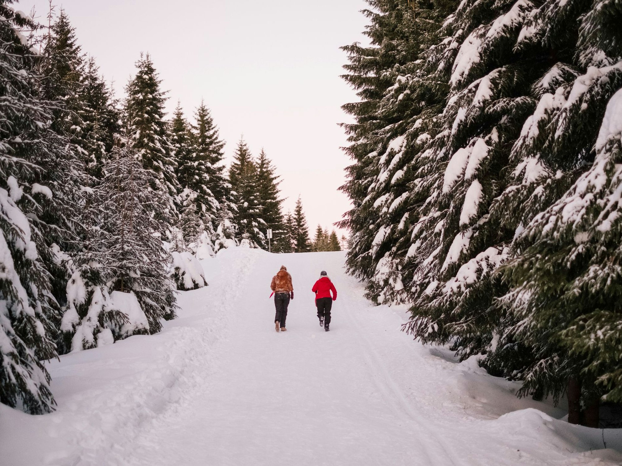 Der Harz lockt mit seinen vielfältigen Möglichkeiten zum Entspannen und Bewegen.