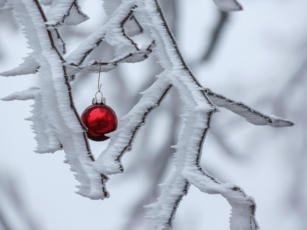 Eine rote Christbaumkugel hängt an einem mit Raureif überzogenem Ast.