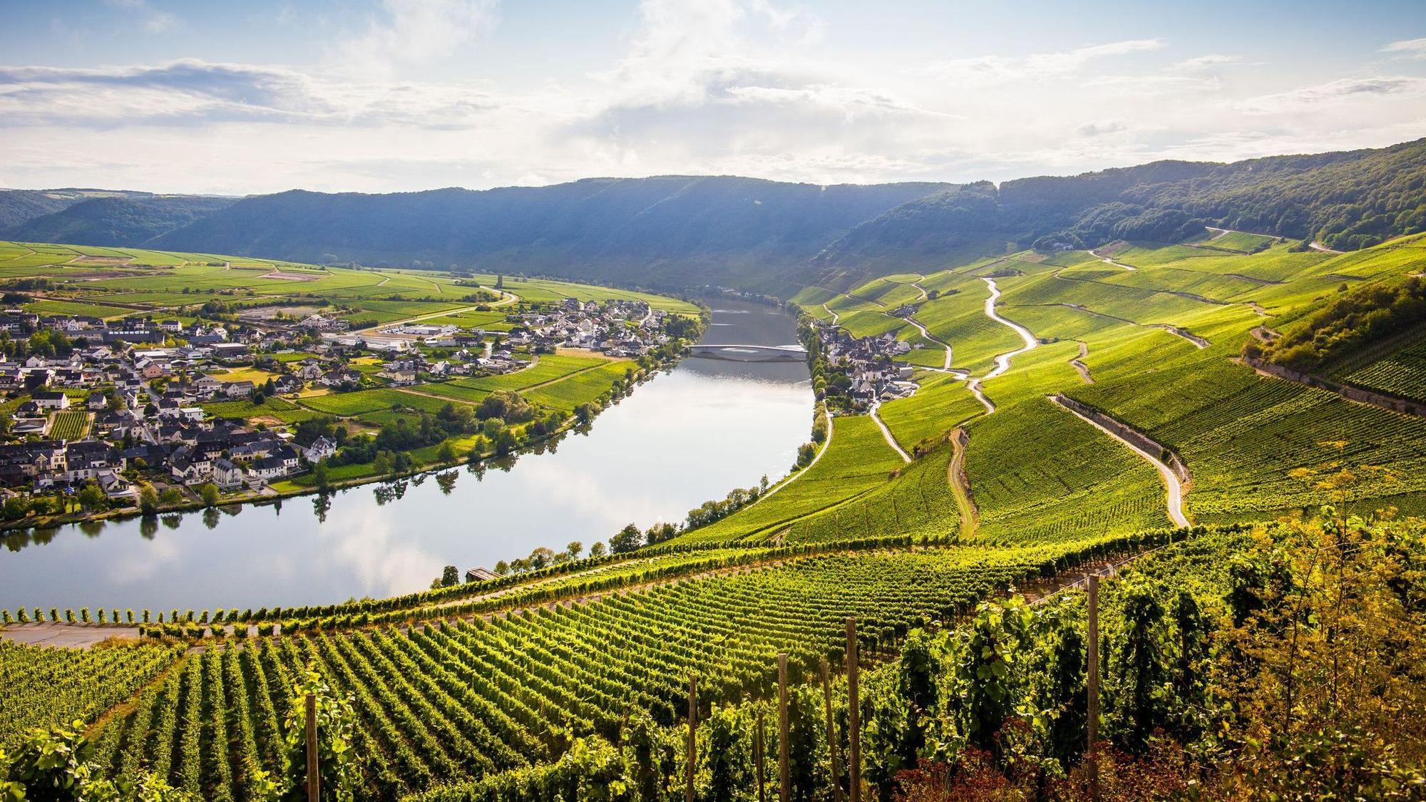 Die Pfalz ist bekannt für seine herrlichen Weine, schmackhafte Kulinarik und schöne Wanderungen.