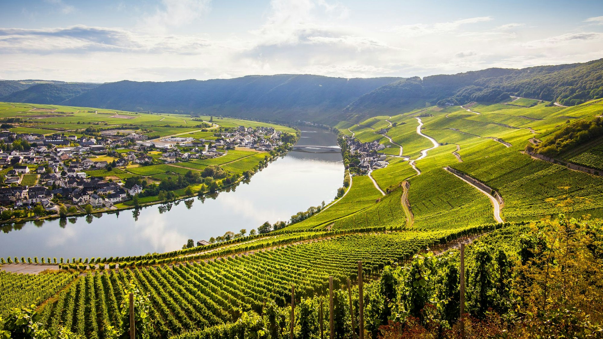 Die Pfalz ist bekannt für seine herrlichen Weine, schmackhafte Kulinarik und schöne Wanderungen.