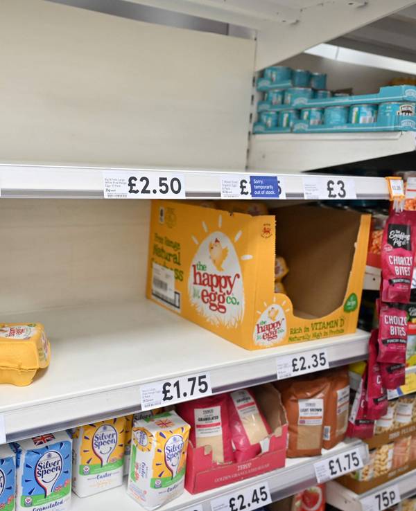 Nur eine Handvoll Eier kann ein Supermarkt in London Mitte November noch anbieten: In Großbritannien ächzt die Kundschaft unter einer Eierkrise. Wie sieht es in Deutschland aus?