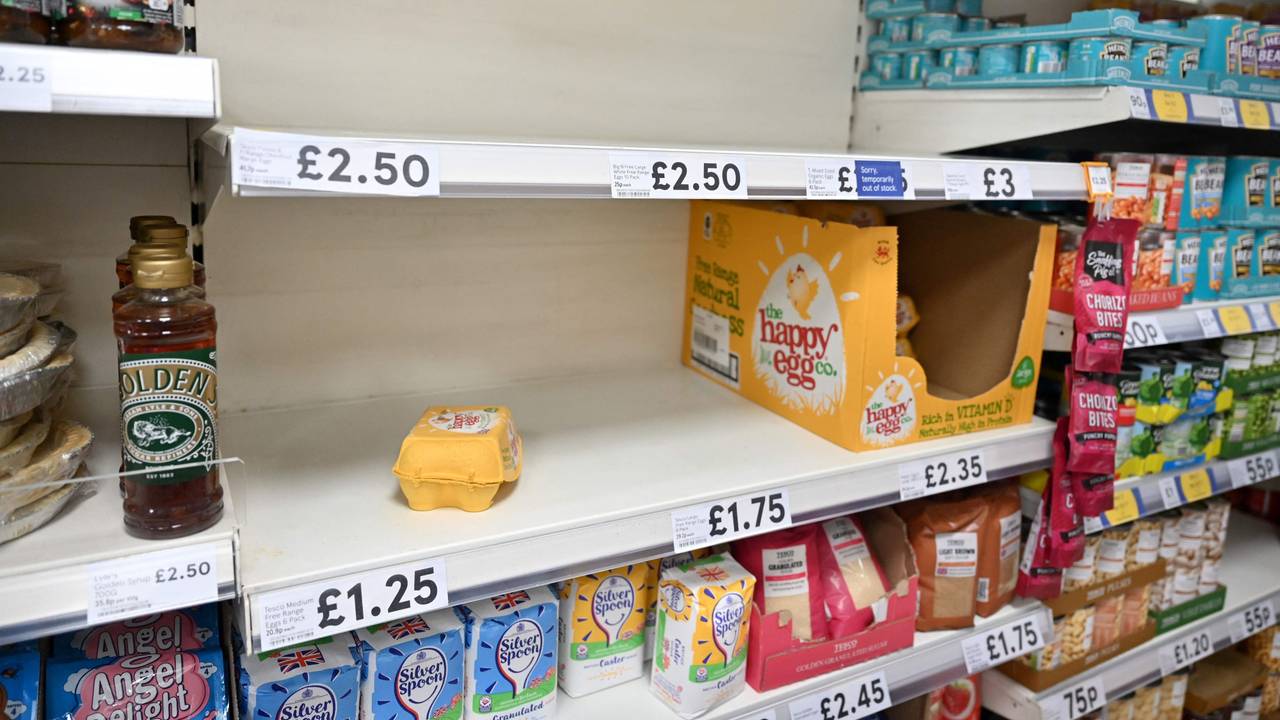 Nur eine Handvoll Eier kann ein Supermarkt in London Mitte November noch anbieten: In Großbritannien ächzt die Kundschaft unter einer Eierkrise. Wie sieht es in Deutschland aus?
