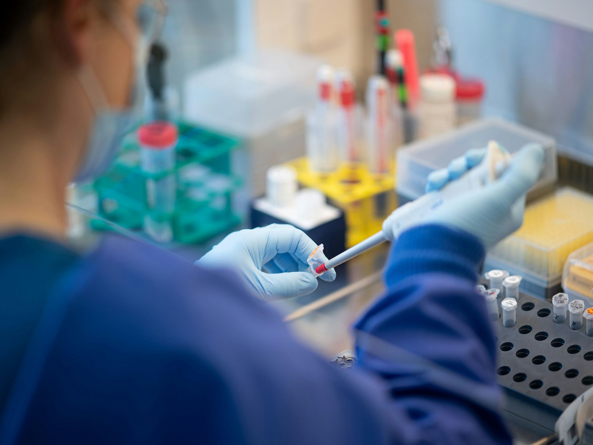 Ein Corona-Test wird in einem Labor ausgewertet. Unser Foto zeigt lediglich symbolhaft ein Labor.