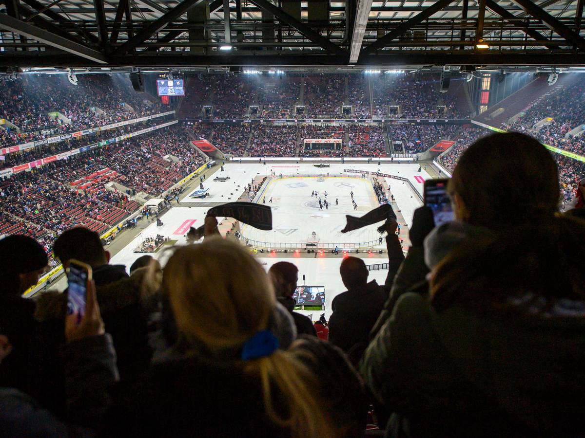 Fans schwenken beim Winter Game der Kölner Haie gegen die Adler Mannheim Schals auf der Tribüne.