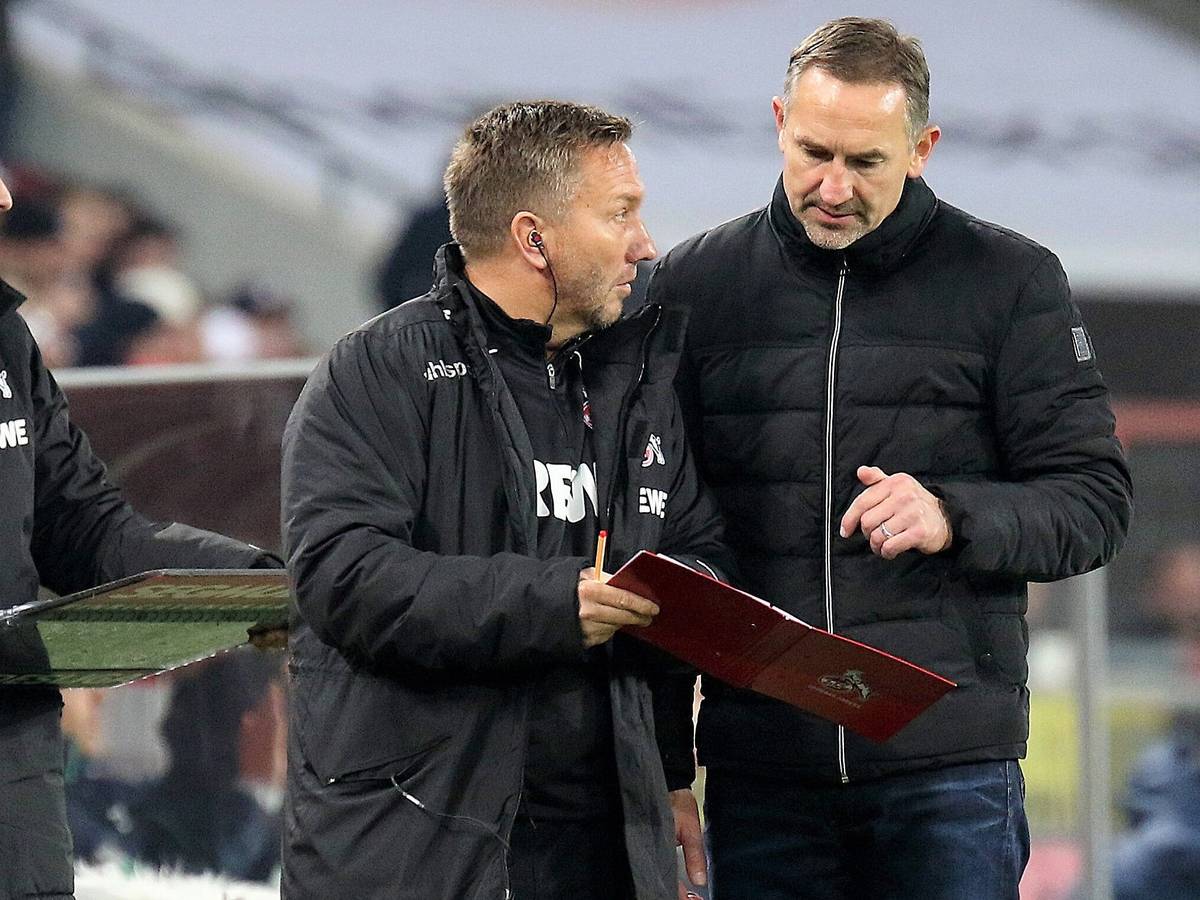 Manfred Schmid und Achim Beierlorzer beraten sich am Spielfeldrand bei einem Spiel des 1. FC Köln.