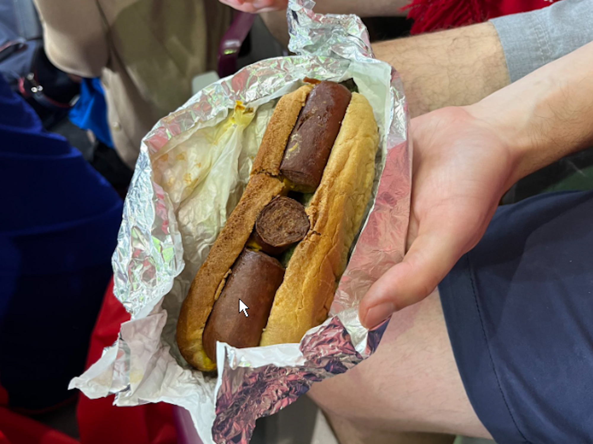 Eine während der Katar-WM im Al-Thumama-Stadion angebotene Wurst.