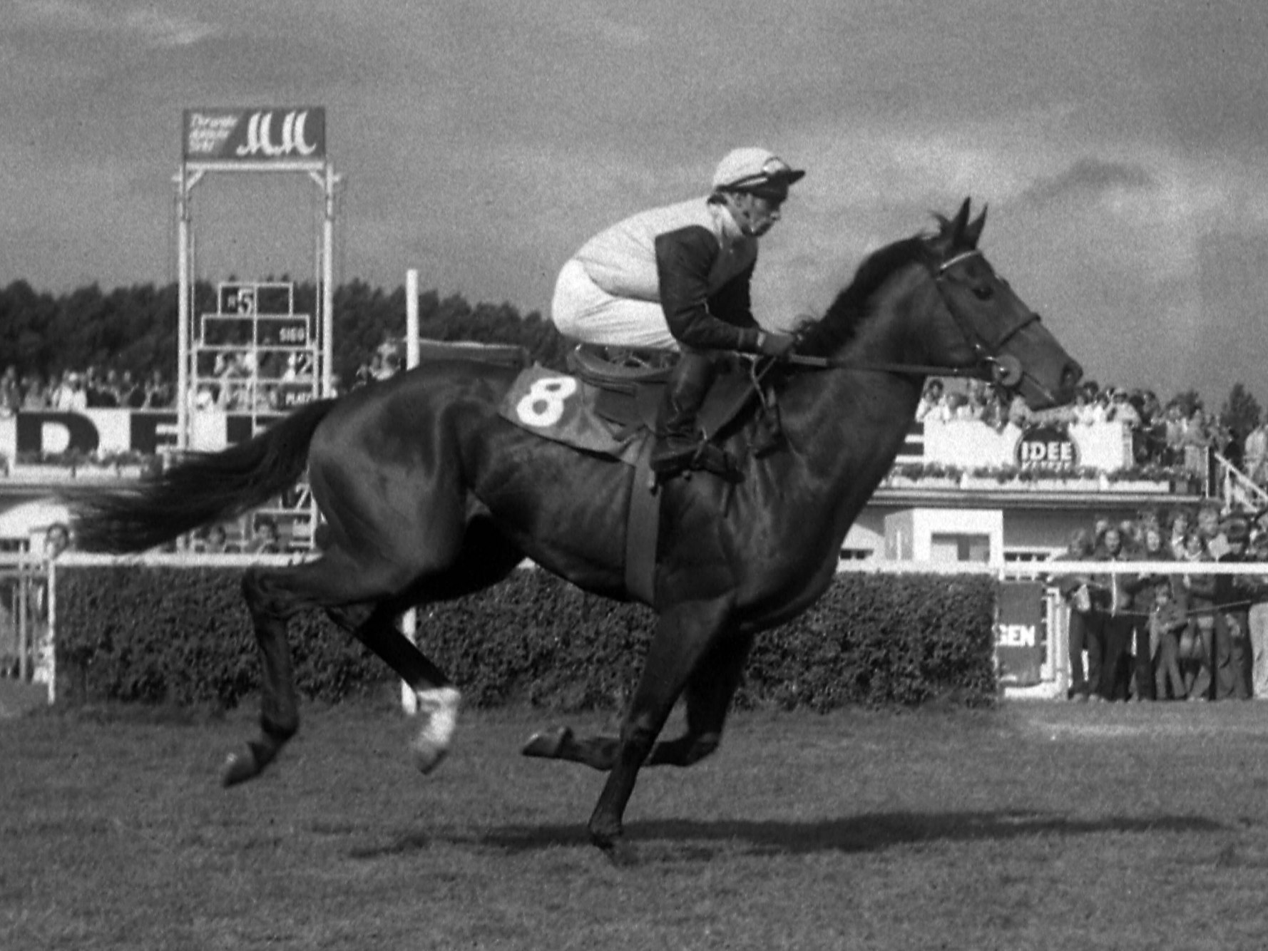 Jockey Bernd Selle im Sattel auf der Galopprennbahn in Hamburg-Horn.