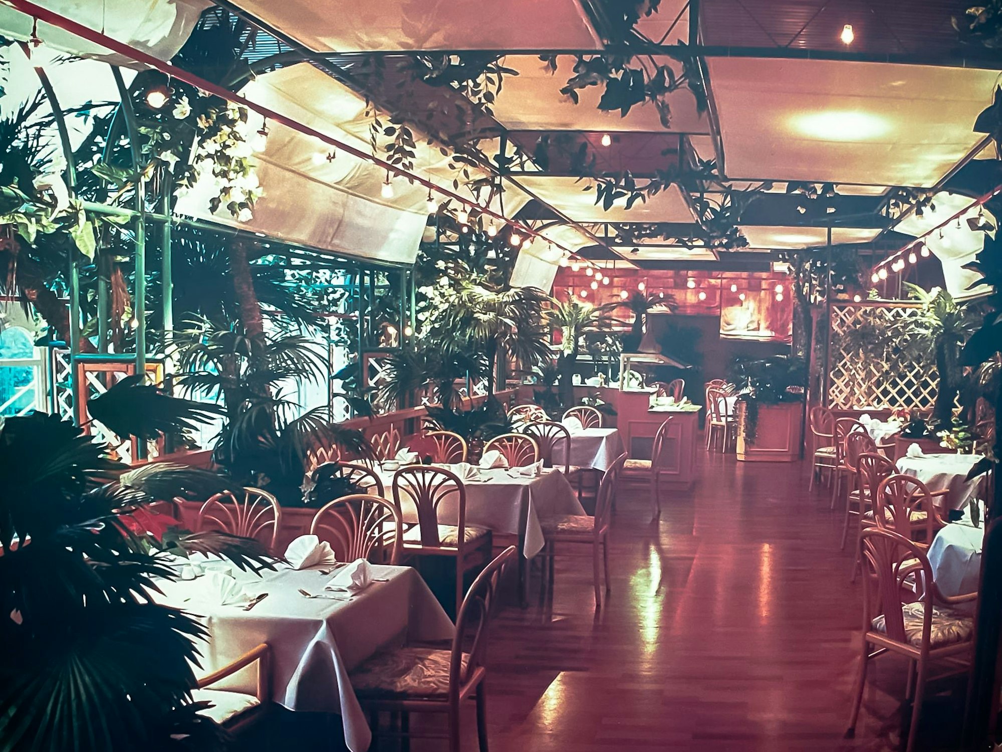 Blick in den Palmengarten in Köln-Mülheim – zu sehen sind Tische und Stühle.