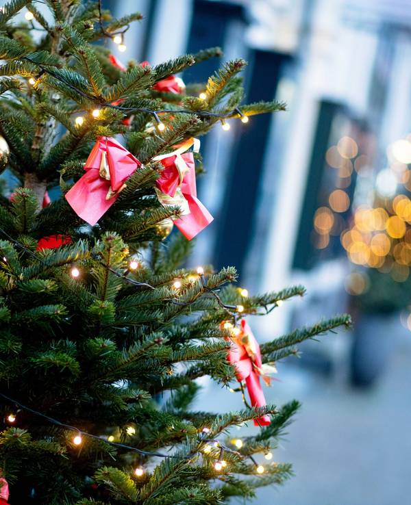 Ein weihnachtlich geschmückter Baum steht am Morgen vor einem Geschäft am Schlossplatz in der Oldenburger Innenstadt.