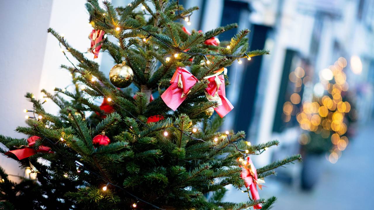 Ein weihnachtlich geschmückter Baum steht am Morgen vor einem Geschäft am Schlossplatz in der Oldenburger Innenstadt.