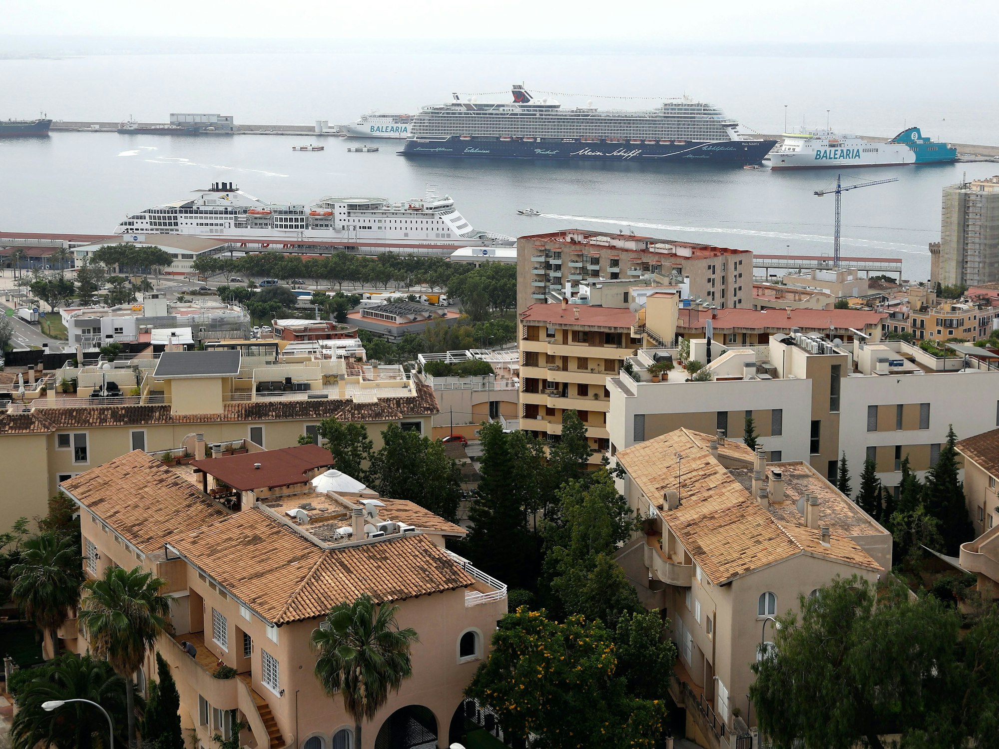 Ein Kreuzfahrtschiff legt im Hafen von Palma an.
