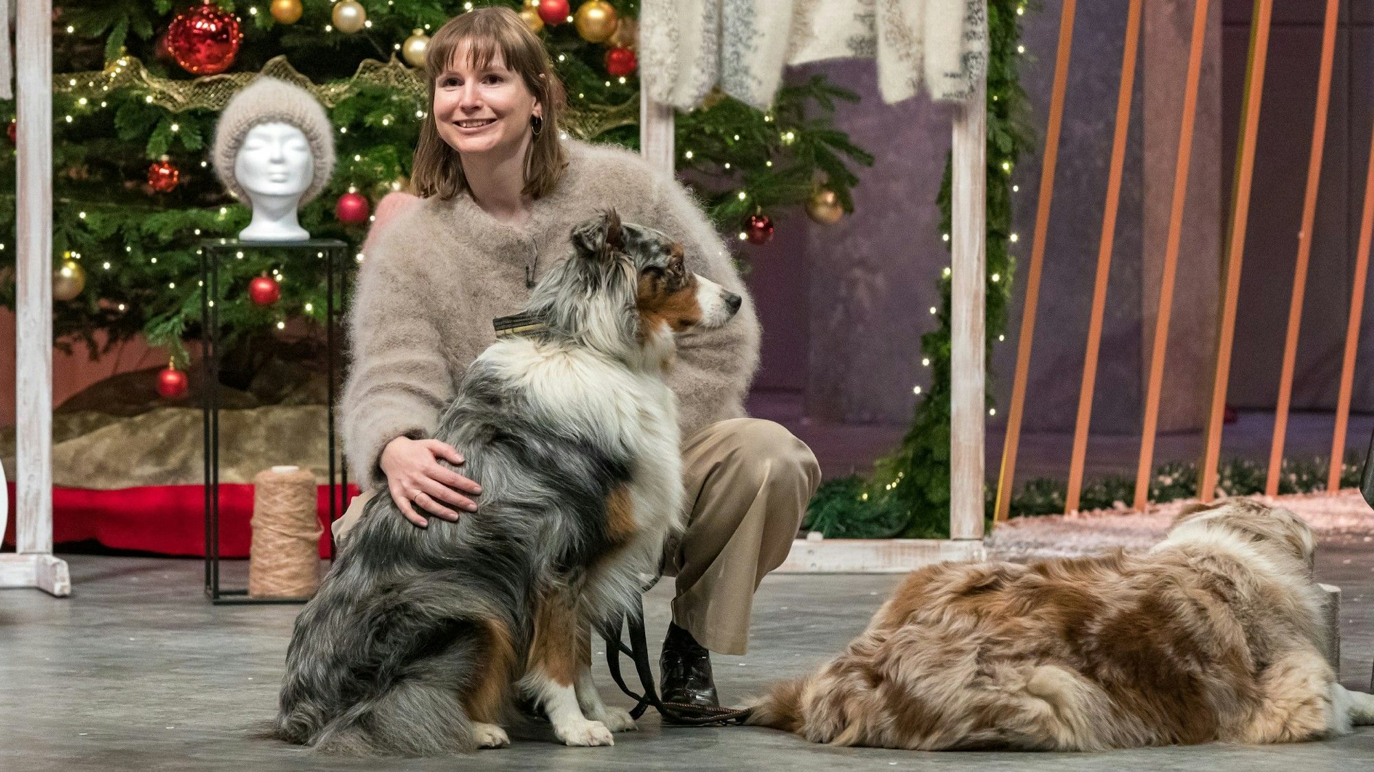 Ann Cathrin Schönrock präsentiert mit Chiengora Chiengora-Garn aus Hundewolle. Sie erhofft sich ein Investment von 200.000 Euro für 10 Prozent der Anteile an ihrem Unternehmen.
Die Verwendung des sendungsbezogenen Materials ist nur mit dem Hinweis und Verlinkung auf RTL+ gestattet.