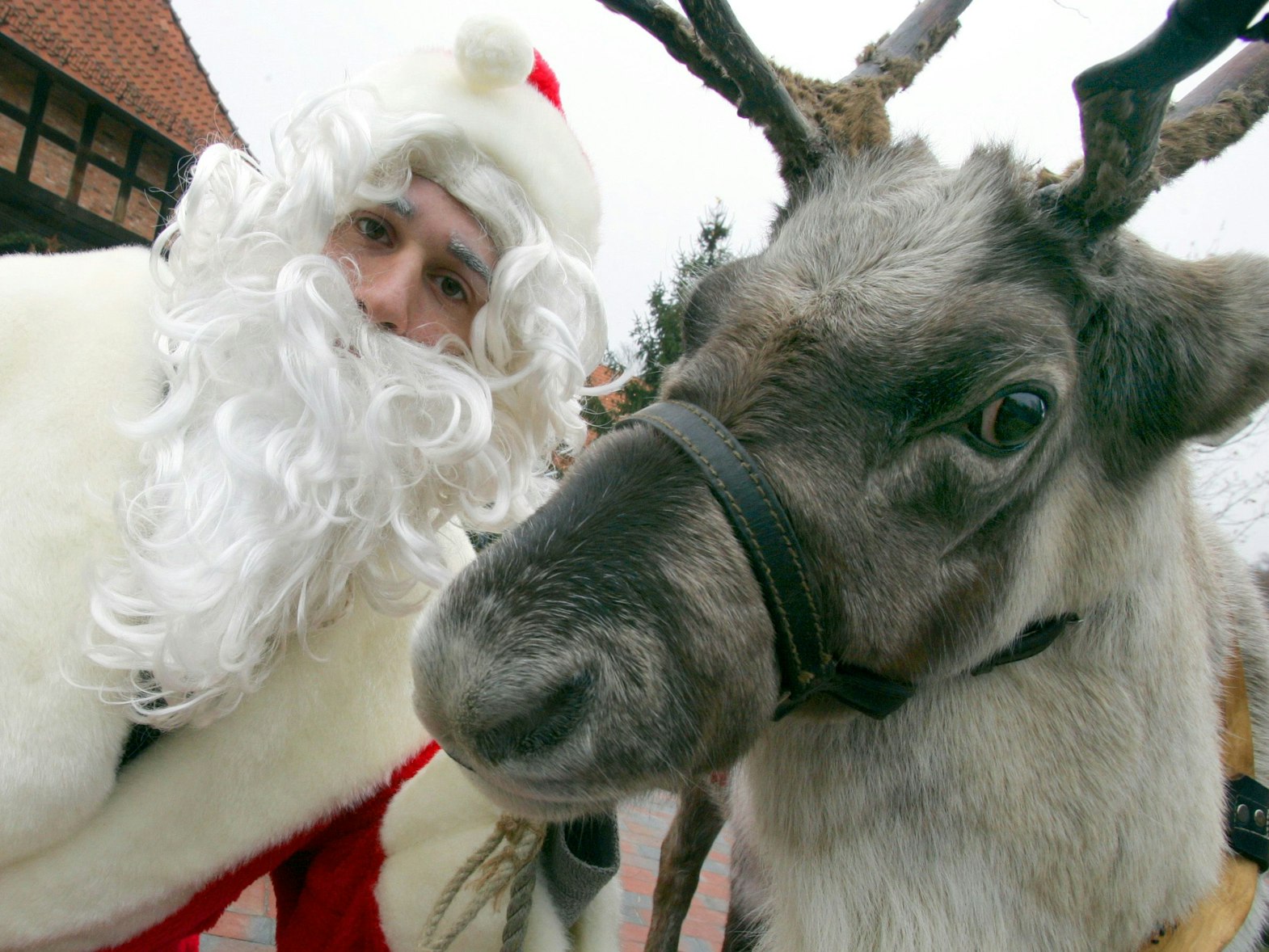 Der Weihnachtsmann und sein Rentier machen Station im Zoo.