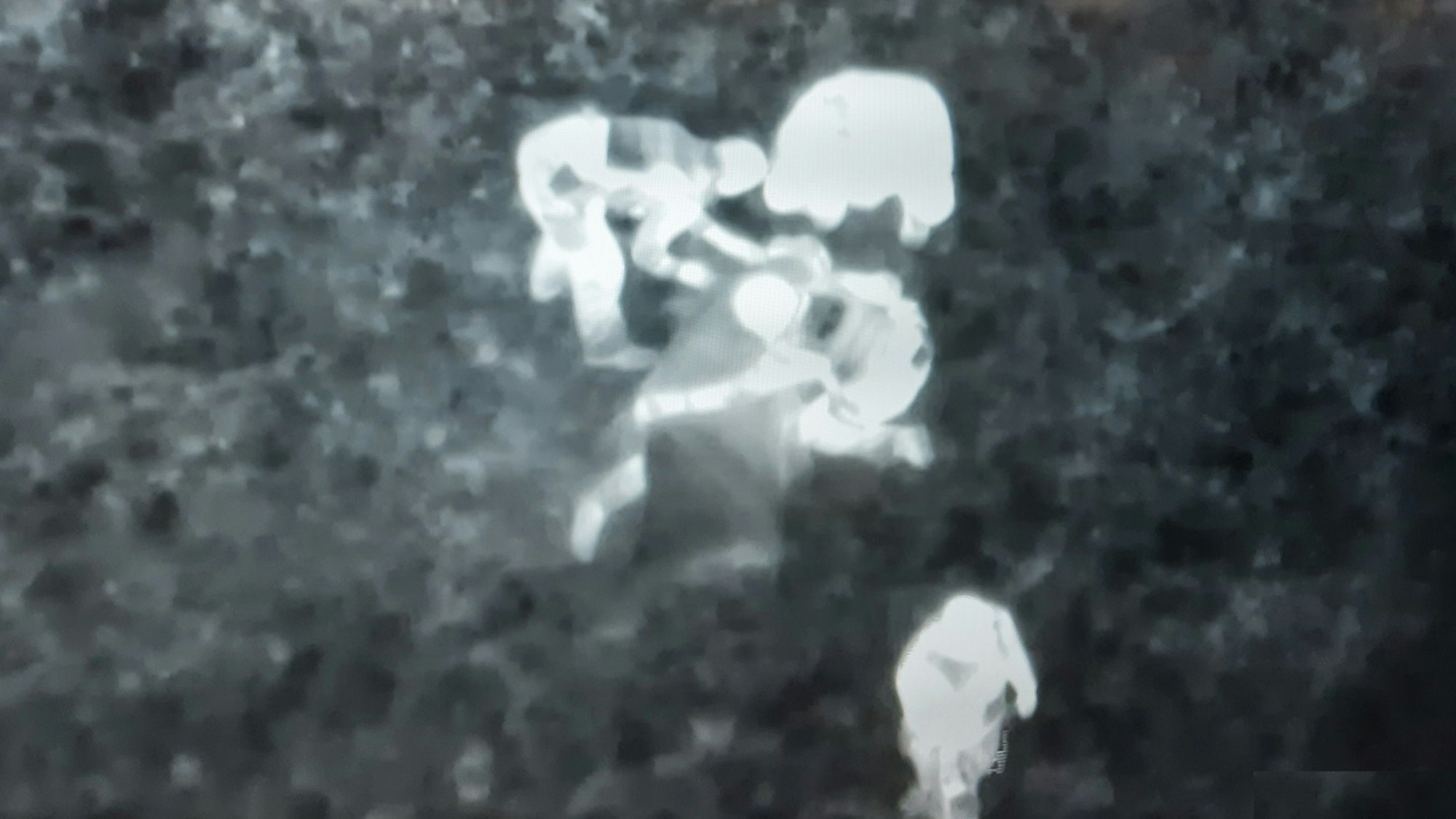 Polizeibeamte leisteten Erste Hilfe. Anschließend wurden der Mann in ein Krankenhaus gebracht.