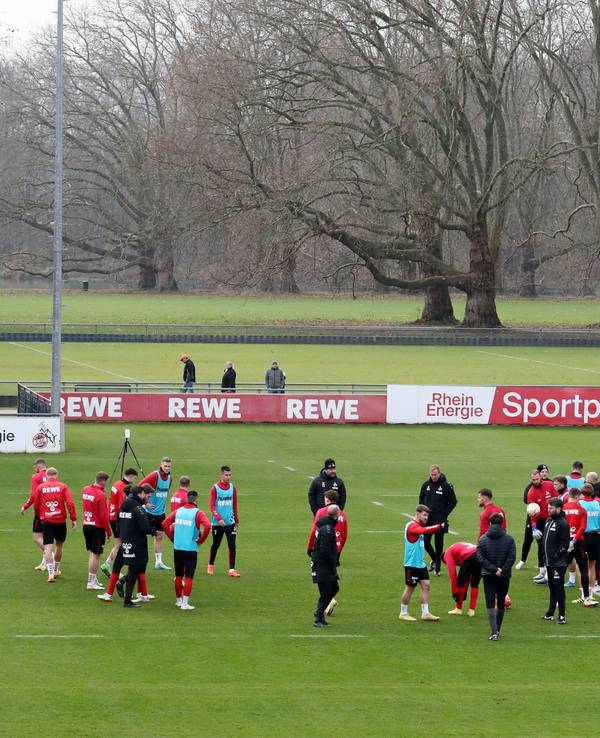 Die Profis des 1. FC Köln stehen am Geißbockheim auf dem Trainingsplatz.