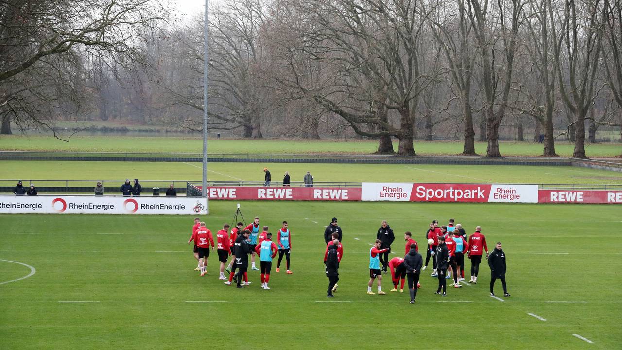 Die Profis des 1. FC Köln stehen am Geißbockheim auf dem Trainingsplatz.