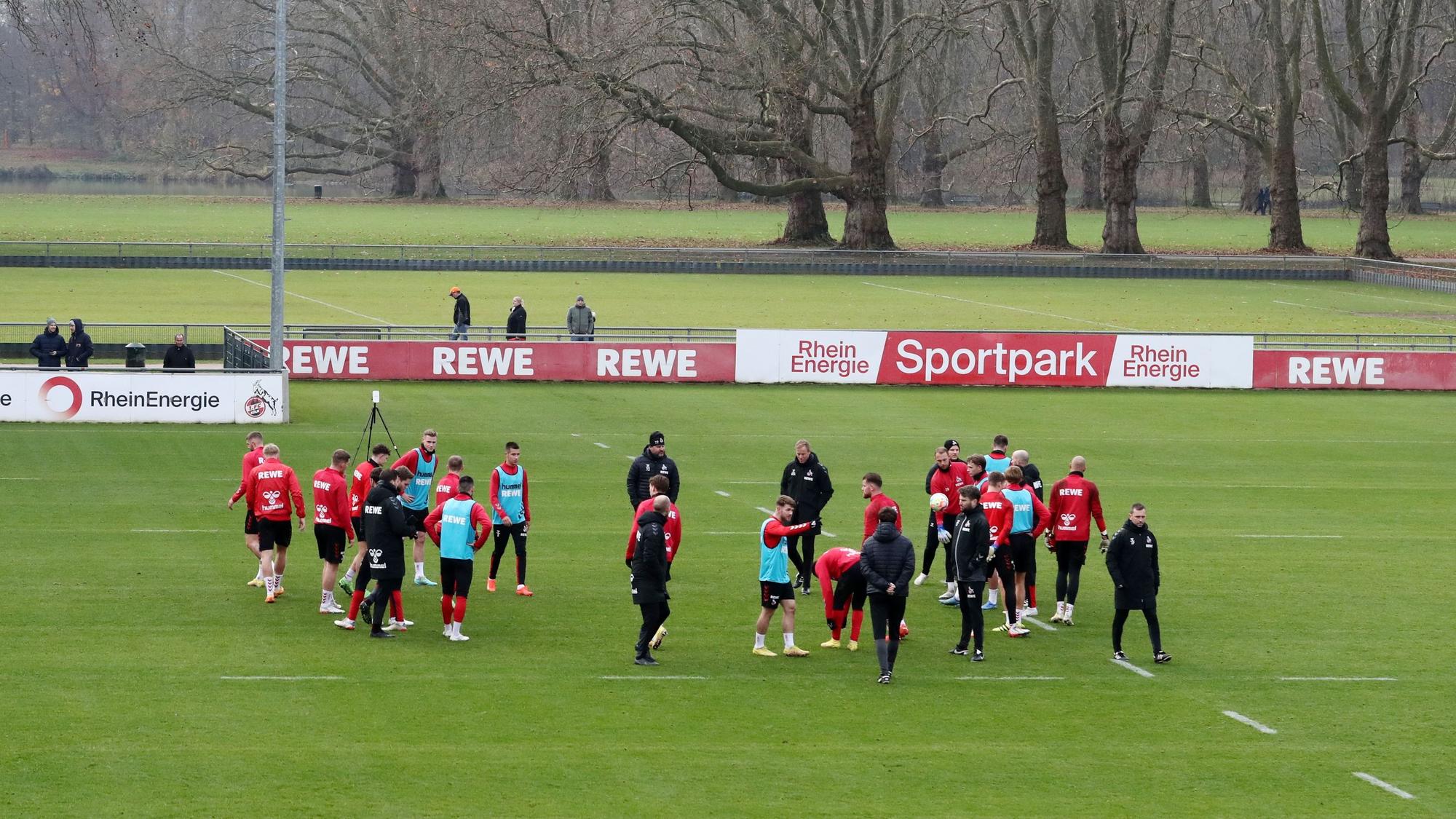 Die Profis des 1. FC Köln stehen am Geißbockheim auf dem Trainingsplatz.