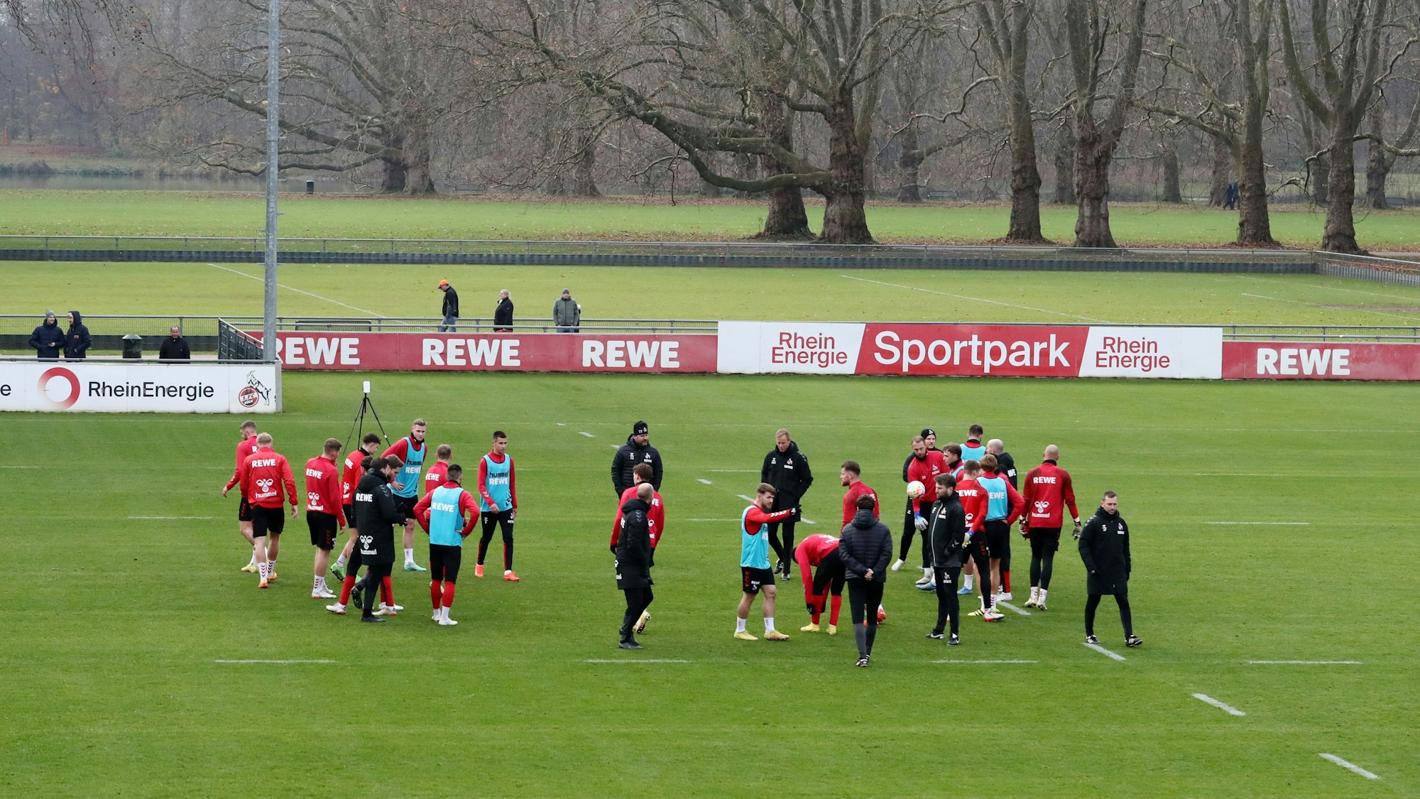Die Profis des 1. FC Köln stehen am Geißbockheim auf dem Trainingsplatz.