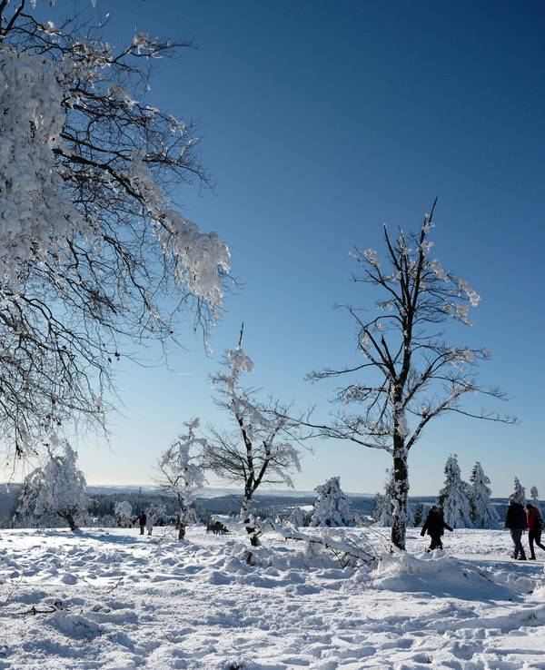Spaziergänger genießen auf dem Kahlen Asten bei WInterberg das Sonnige Winterwetter.