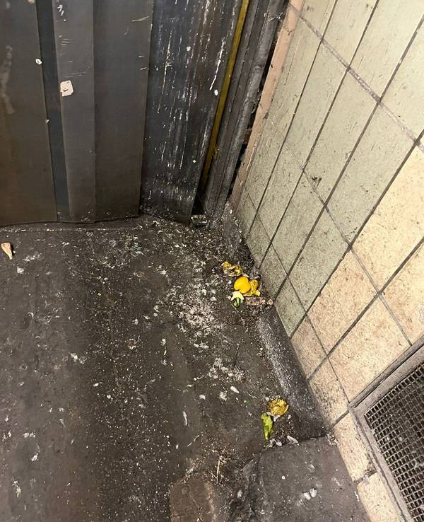 Taubenkot in der Halle des Kölner Großmarktes