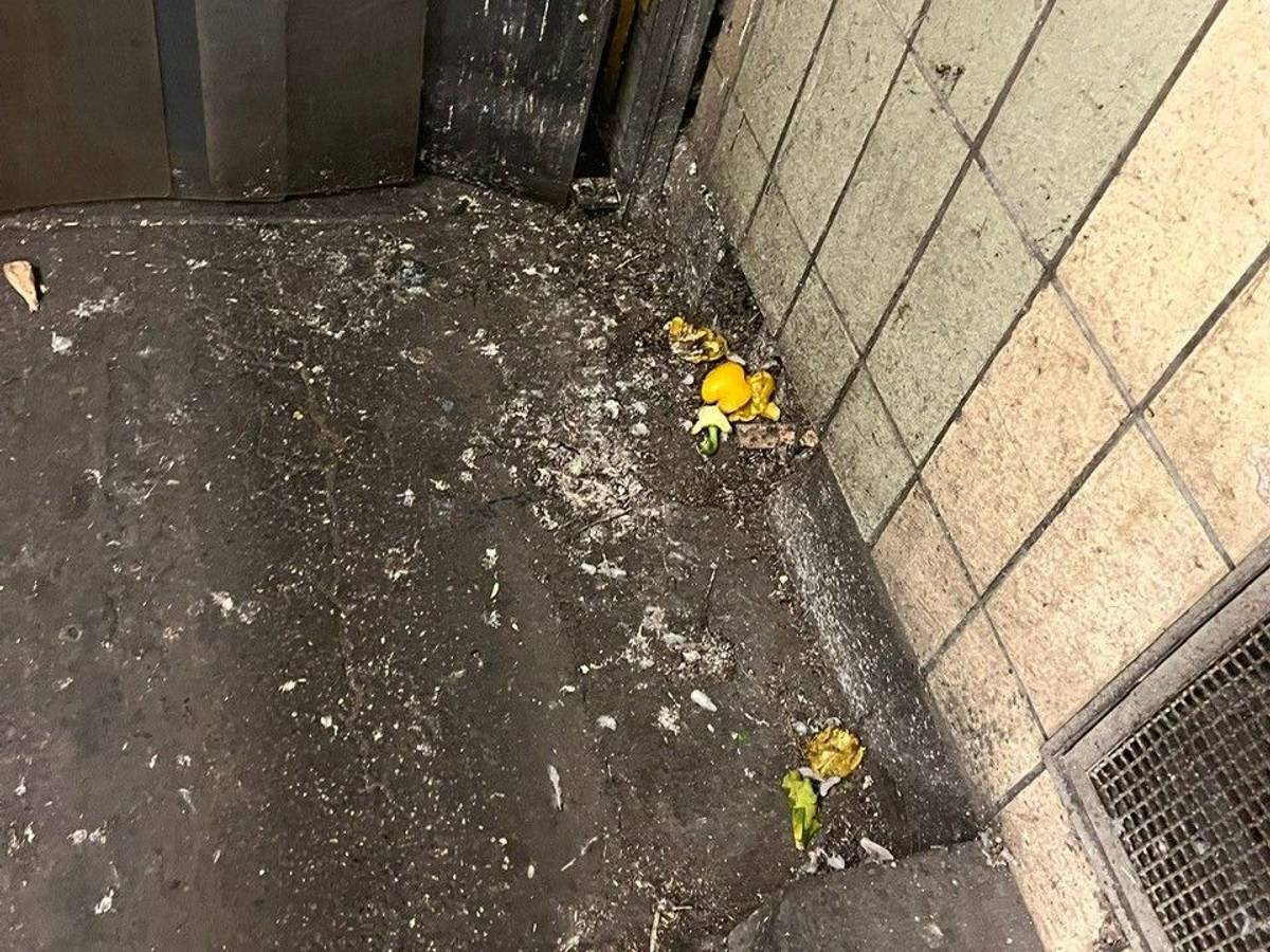 Taubenkot in der Halle des Kölner Großmarktes