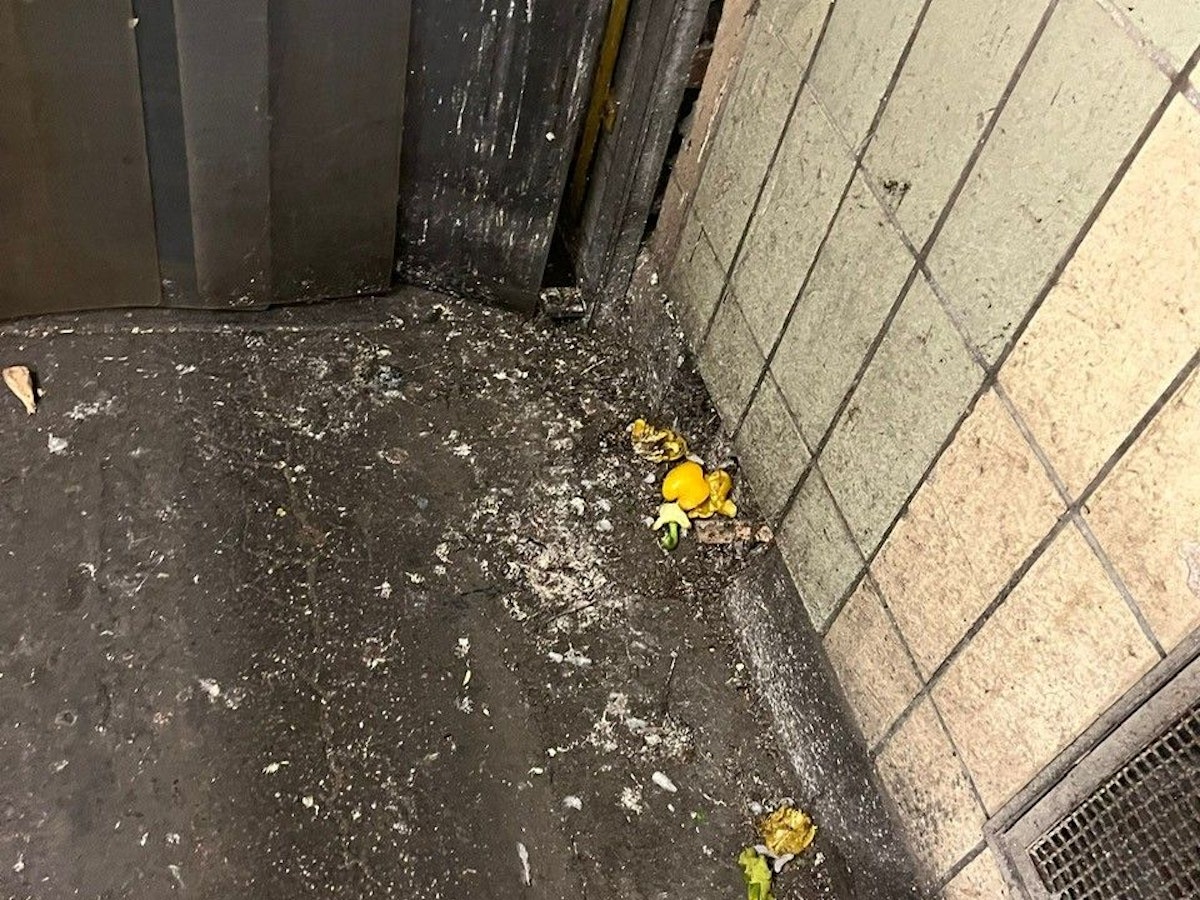 Taubenkot in der Halle des Kölner Großmarktes