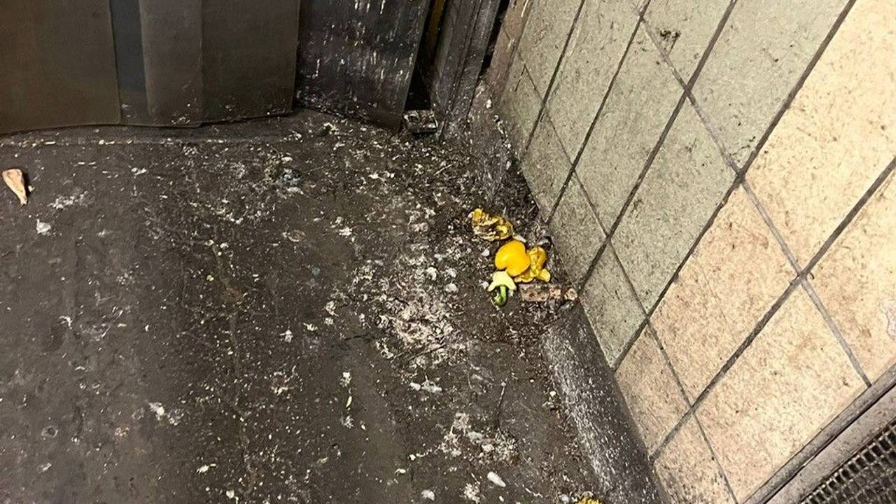 Taubenkot in der Halle des Kölner Großmarktes