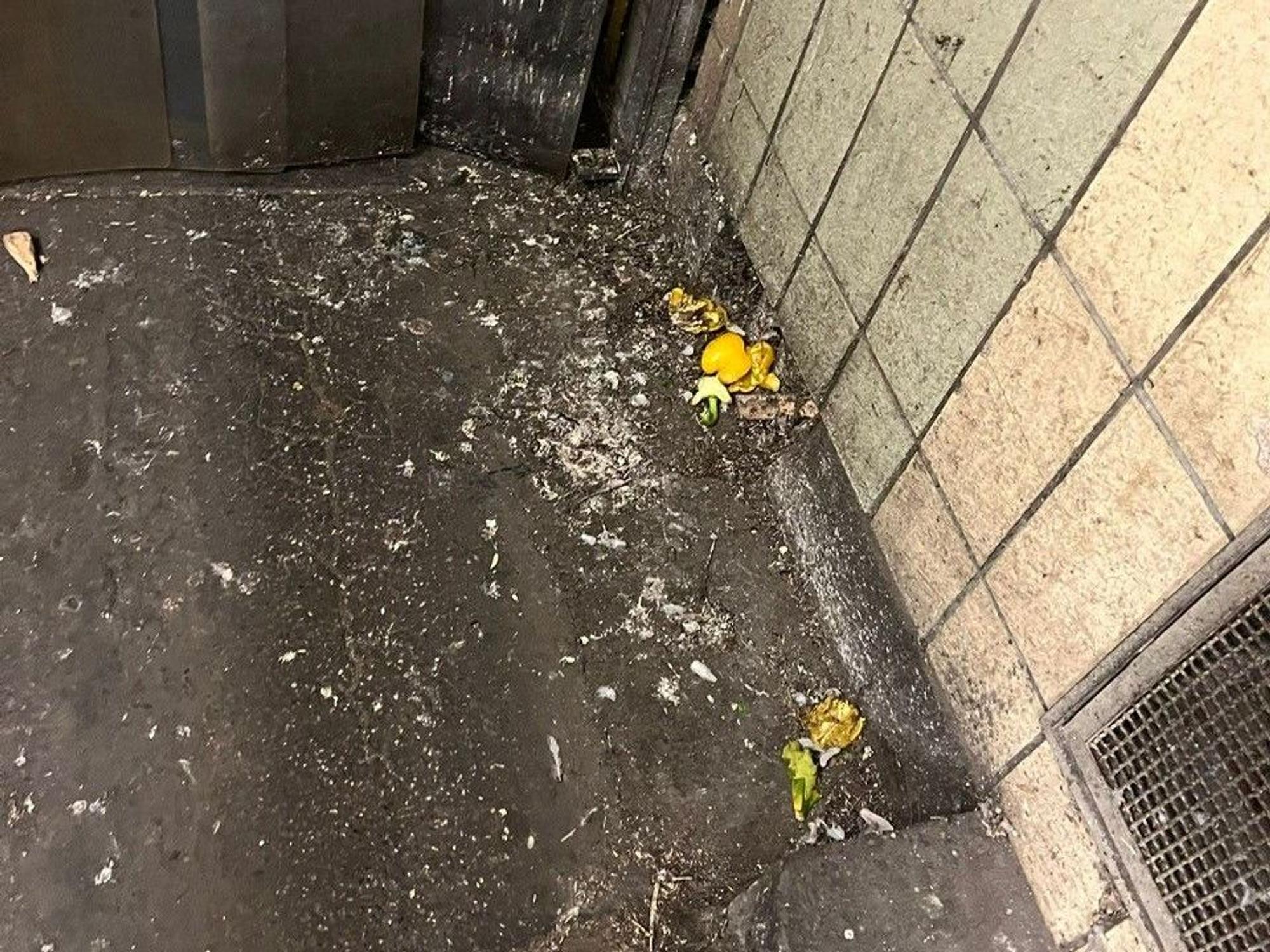 Taubenkot in der Halle des Kölner Großmarktes