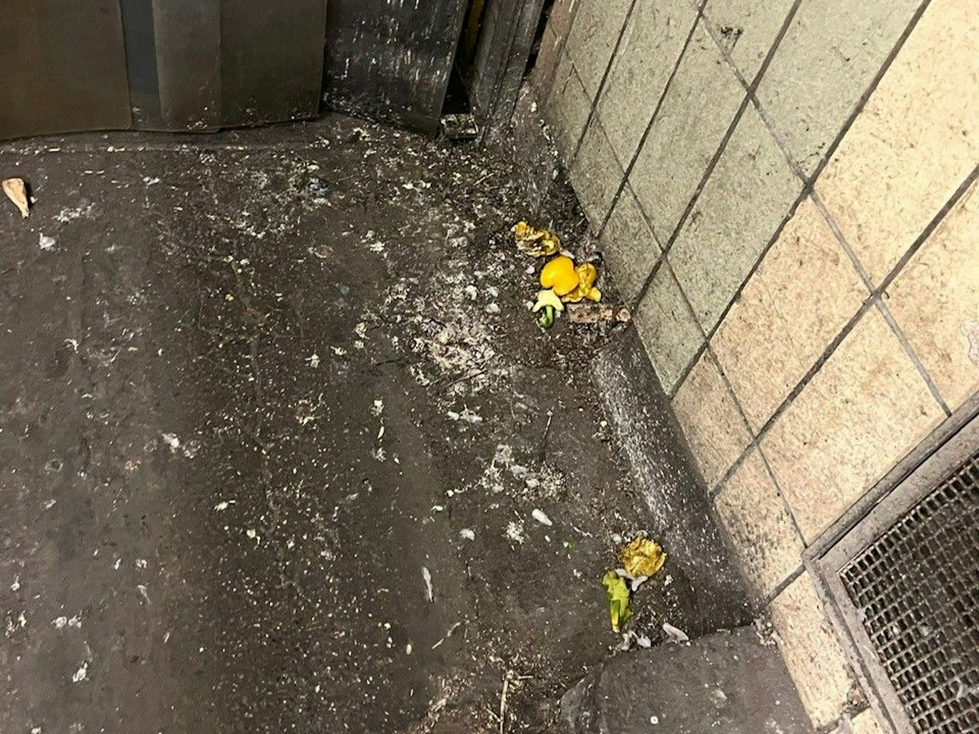 Taubenkot in der Halle des Kölner Großmarktes