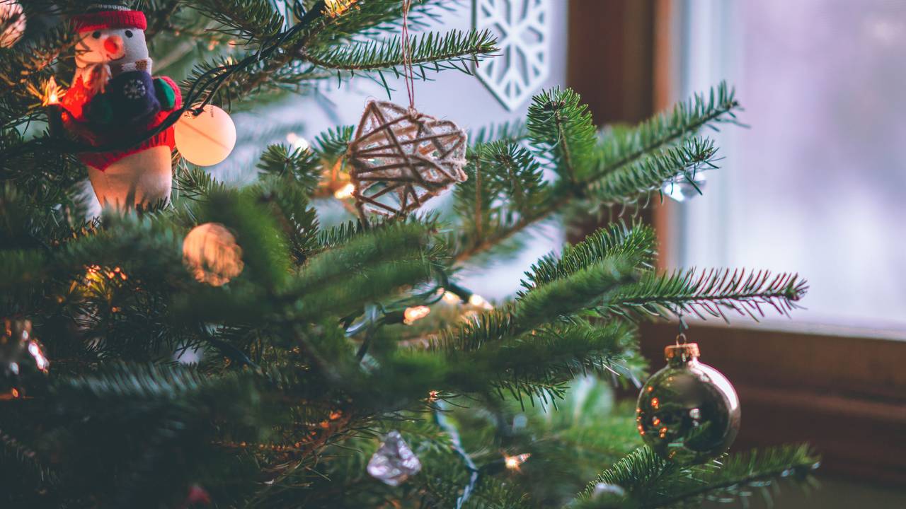 Ein geschmückter Tannenbaum steht im Haus.