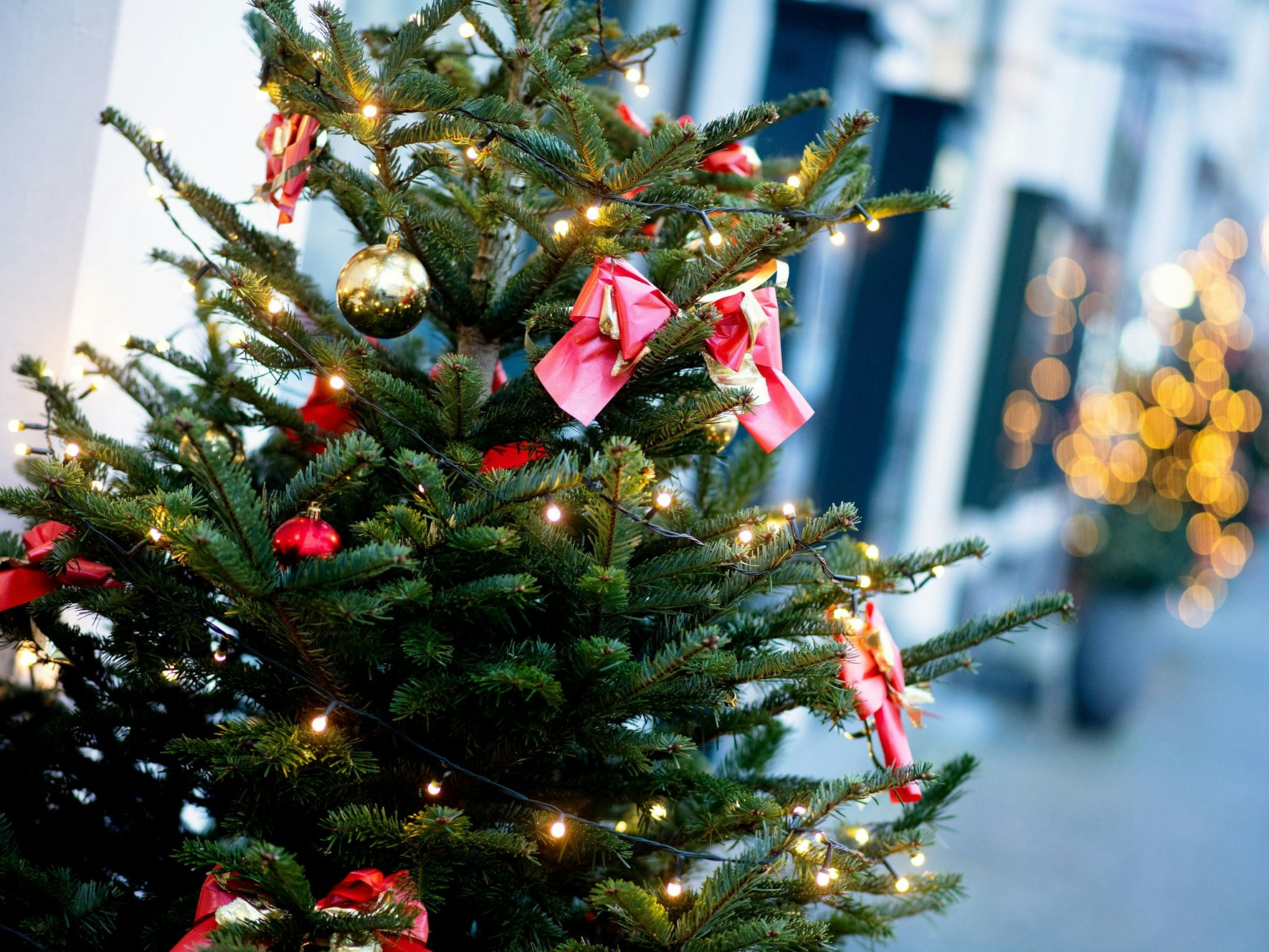 Ein weihnachtlich geschmückter Baum steht am Morgen vor einem Geschäft am Schlossplatz in der Innenstadt.