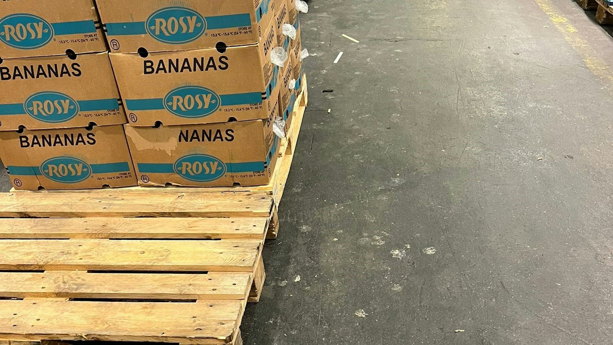 Taubenkot entlang der Paletten im Kölner Großmarkt.