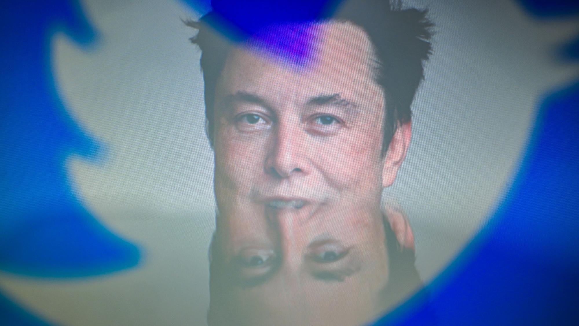Elon Musk, CEO von Tesla und SpaceX, hinter den Silhouetten des Twitter-Logos.