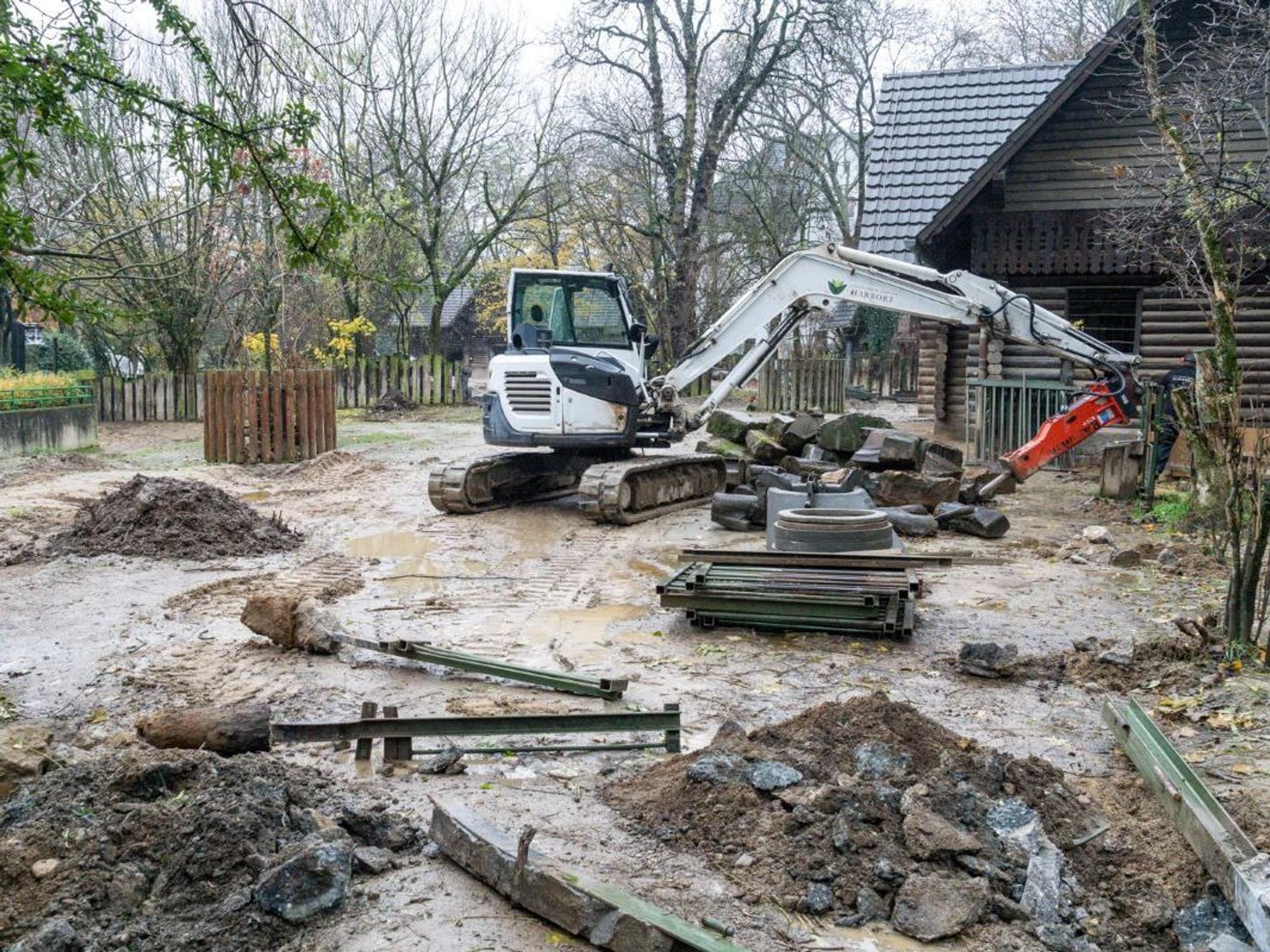Zoo Köln: Die Nashornanlage für Taco wird seit November 2022 umgebaut.