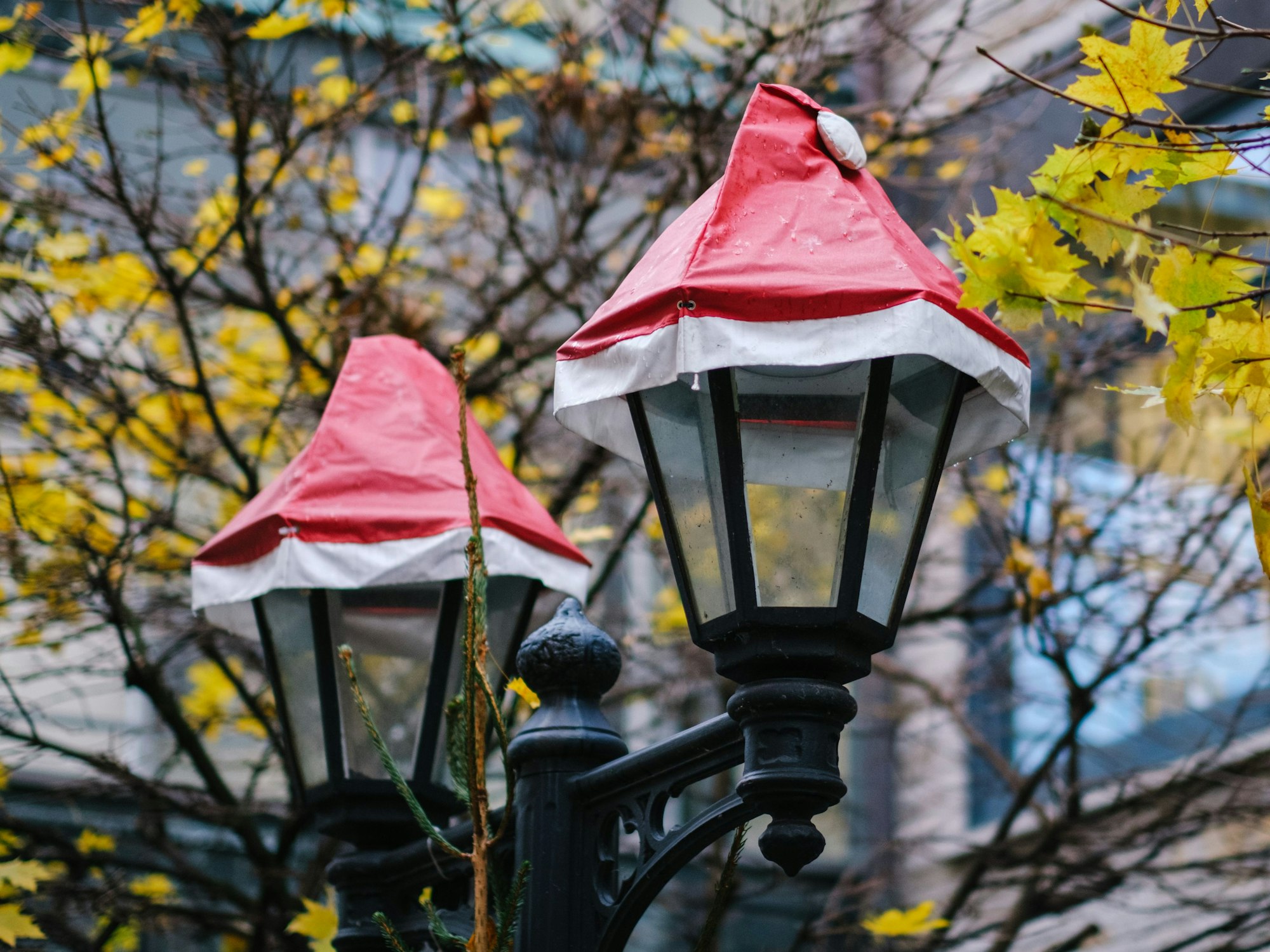 Weihnachtlich geschmückte Straßenlaternen stehen zwischen gelbem Herbstlaub.