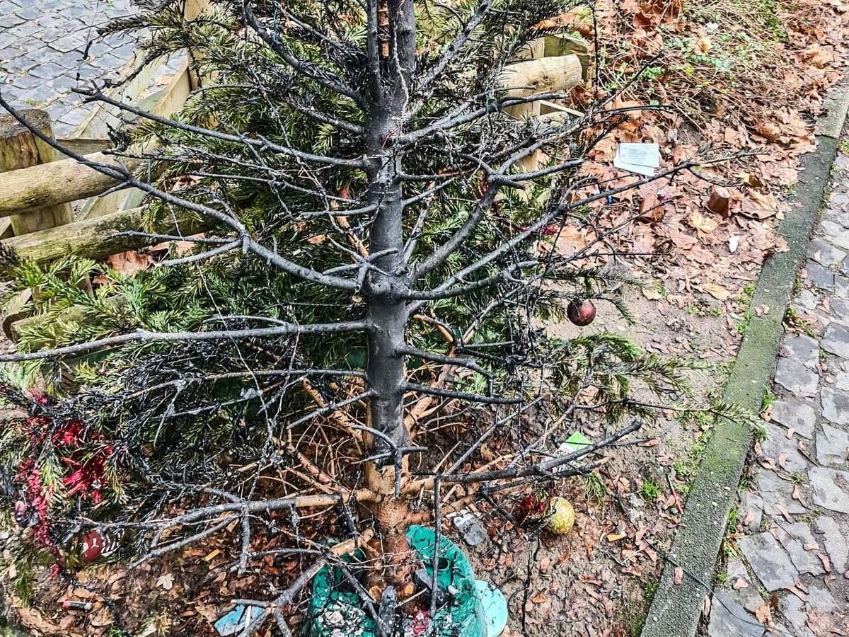 Essen: Ein abgebrannter Weihnachtsbaum steht auf einem Beet.