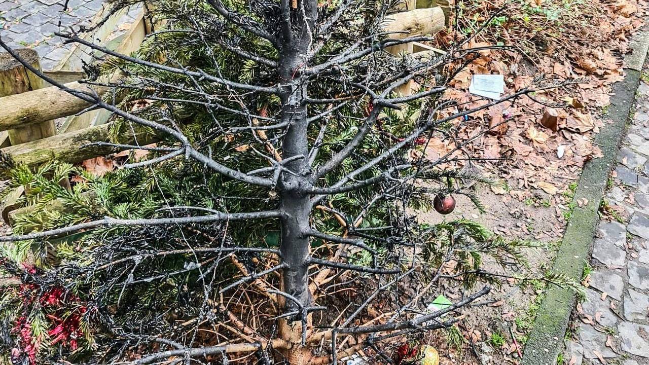 Essen: Ein abgebrannter Weihnachtsbaum steht auf einem Beet.