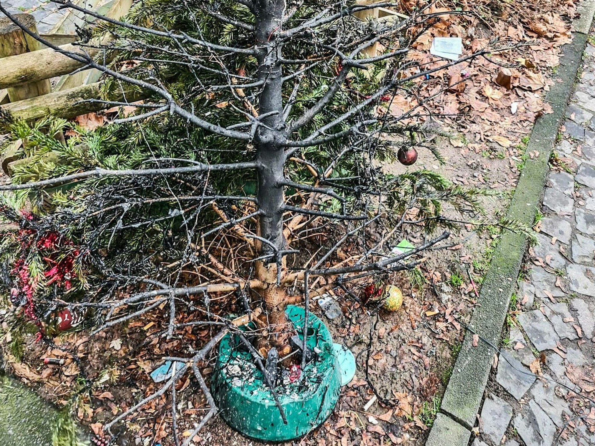 Essen: Ein abgebrannter Weihnachtsbaum steht auf einem Beet.