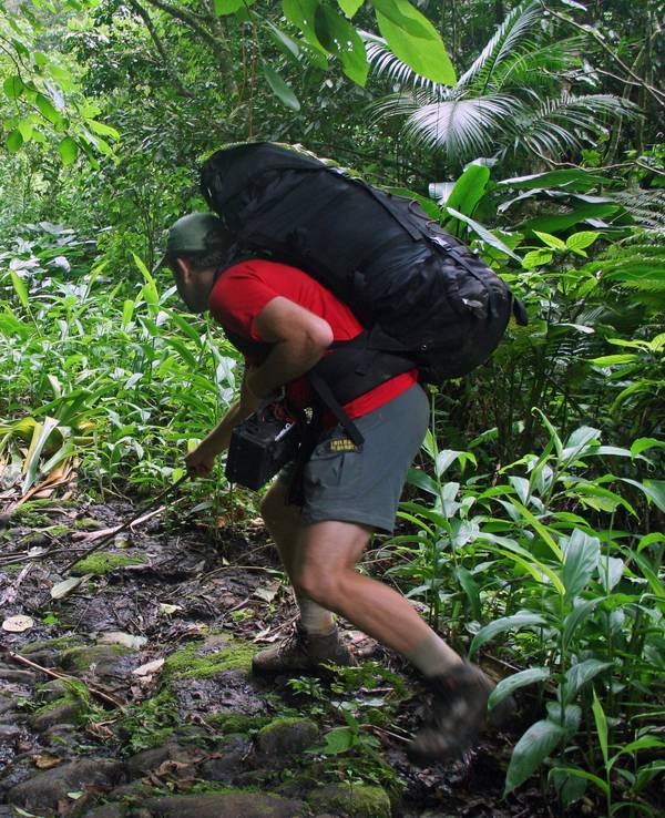 Auf dem alten Steinweg im Nationalpark Serra da Bocaina stoßen Wanderer immer wieder auf Schlangen. Das Symbolbild zeigt einen Wanderer im Nationalpark, der der São Paulo und Rio de Janeiro miteinander verbindet.