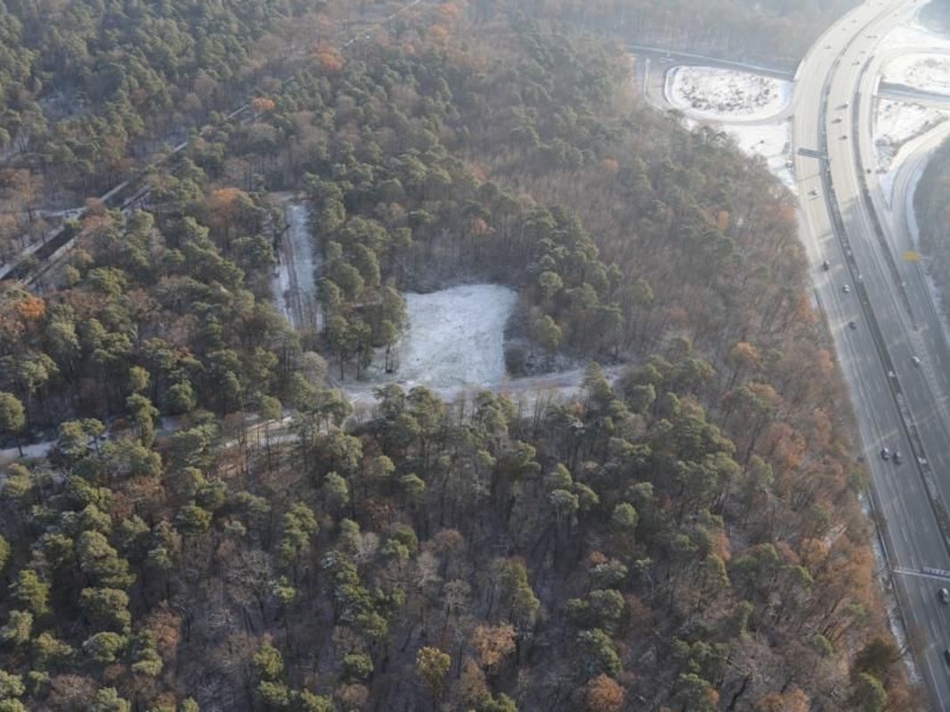 Ein Waldstück wurde aus der Luft aufgenommen, rechter Hand verläuft eine Autobahn.